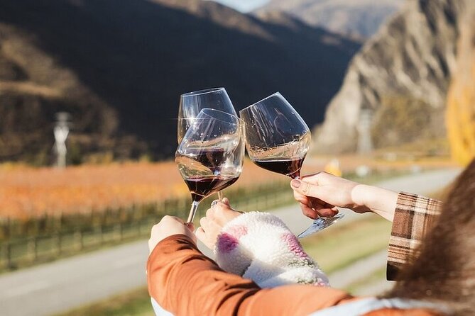 Premium Wine Tour Queenstown Tasting at 4 Wineries - A Few Words About the Experience