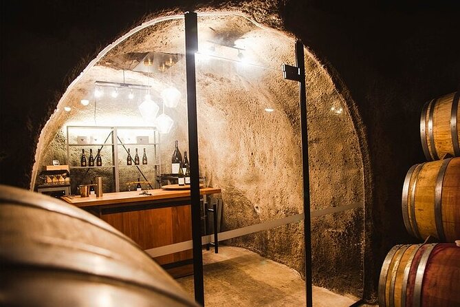 Premium Wine Tour Queenstown Tasting at 4 Wineries - Good To Know