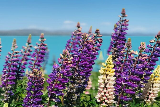 Queenstown to Lake Tekapo via Mt Cook One-Way Small Group Tour - The Scenic Journey Begins in Queenstown