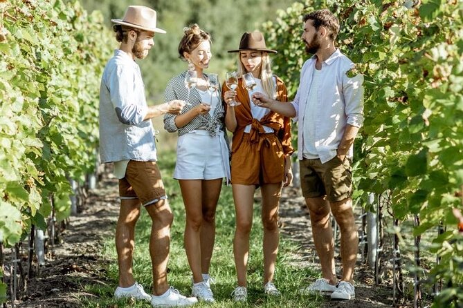 Queenstown Afternoon Wine Tour - Peregrine | Kinross | Amisfield - The Itinerary: What You Can Expect