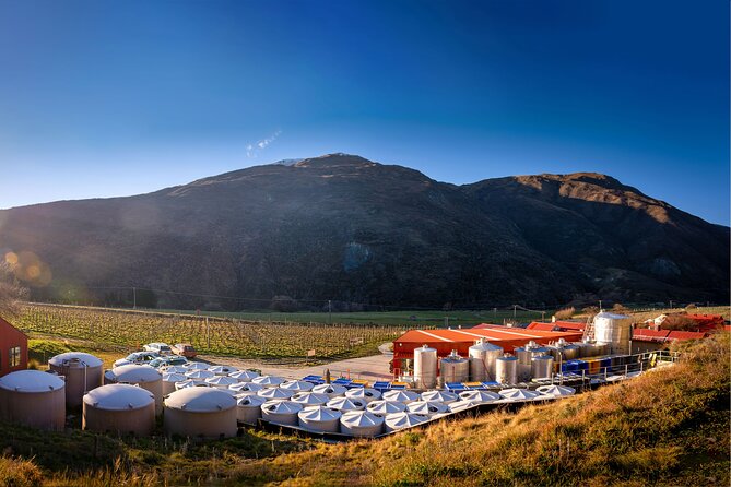 Queenstown Afternoon Wine Tour - Peregrine | Kinross | Amisfield - Authentic Experiences and Hidden Gems