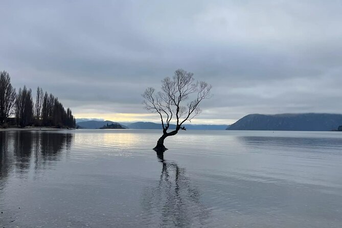 Wnaka to Queenstown: A Self-Guided Drive via the Crown Range - The Sum Up