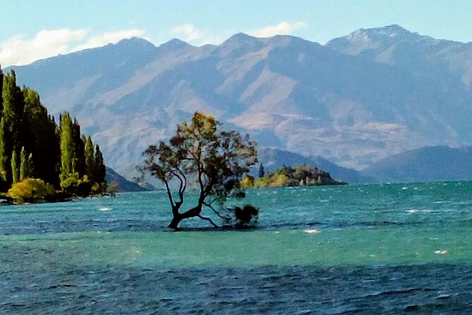 Wine Tasting Adventure Wanaka and Beyond - Who Will Love This Tour?