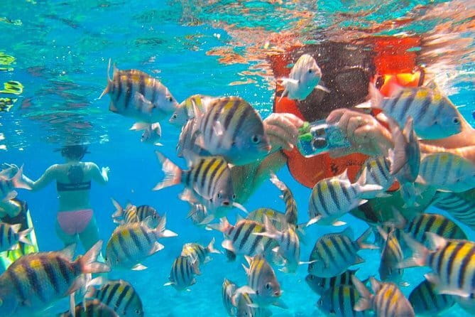 Phi Phi Half Day Tour Speed Boat Tour - The Real Value of This Tour