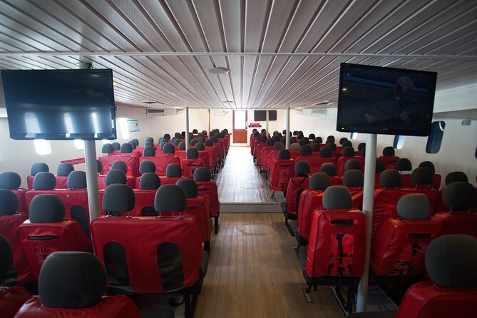 Ferry Transfer from Krabi Klong Jilad Pier to Phi Phi Tonsai - FAQ