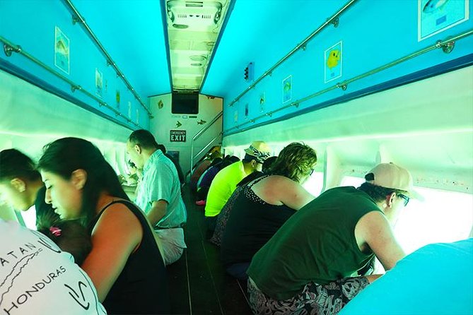 Glass Bottom Boat, Sloth, Monkey Park, Chocolate Factory & West Bay Beach - Key Points