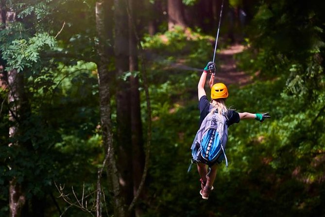 King Kong Extreme Zipline, City Tour and Transfer - Ziplining: Soaring Over the Honduran Jungle