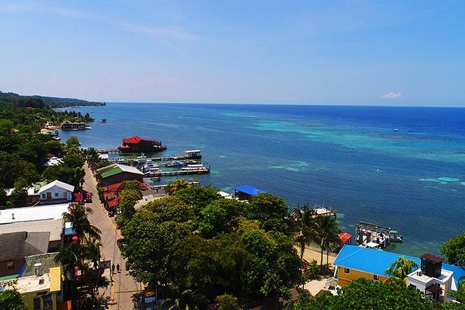 Extreme Zipline, City Tour, Chocolate, Rum Factory, Beach Break, Transfer - Why This Tour Works Well