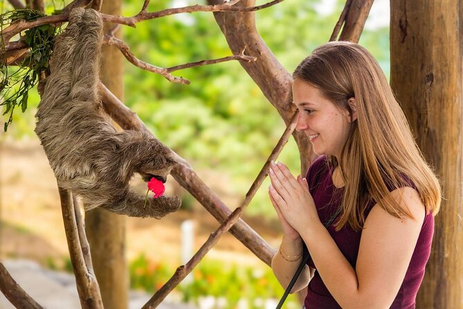 Brady's Cay all inclusive beach daypass and wildlife encounter - Experience Roatans Bradys Cay All-Inclusive Beach Daypass and Wildlife Encounter