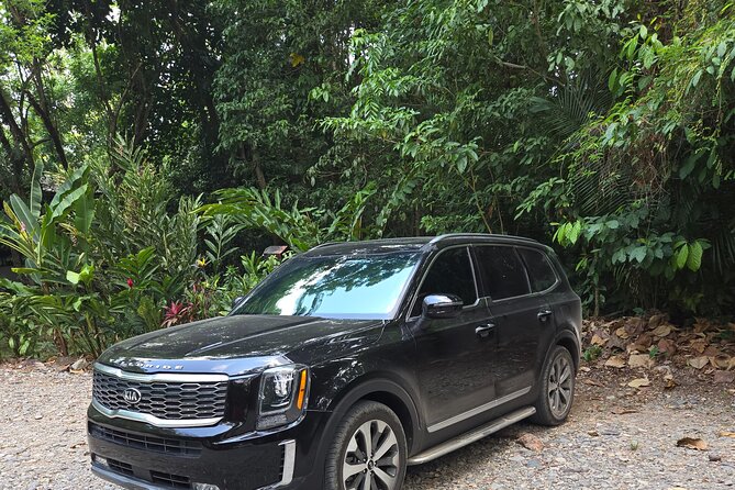 Roatan Private Transfers: Airport, Cruise Port or Hotel - The Sum Up