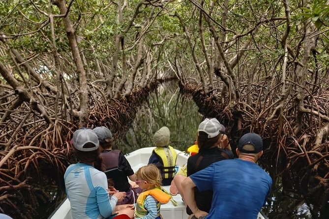 Roatan East Side Mangrove Tunnels and Snorkel Adventure - Key Points