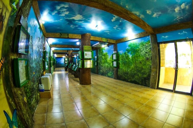 Private Guided Gumbalimba Park Tour From Roatán - Botanical Gardens Exploration