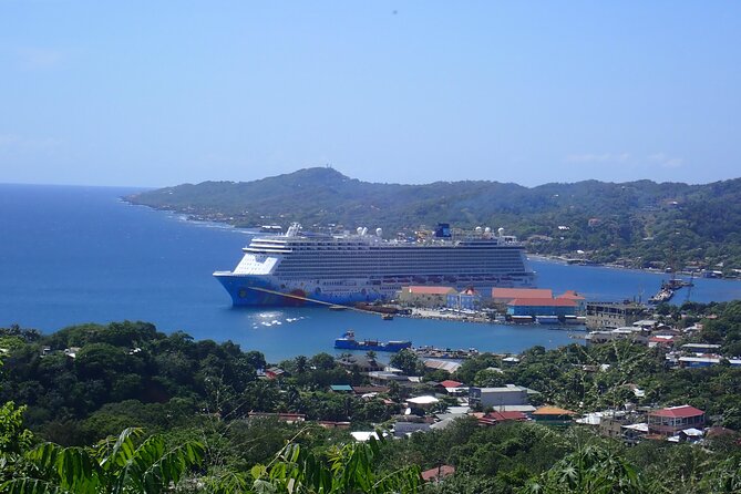 Private Group Island Tour - Exploring Roatan in Style: The Ins and Outs of the Private Group Tour