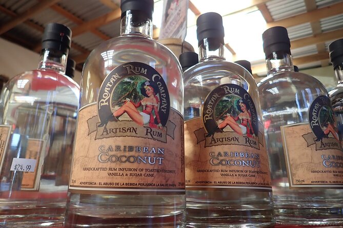 Private Group Island Tour - Who Is This Tour Best For?