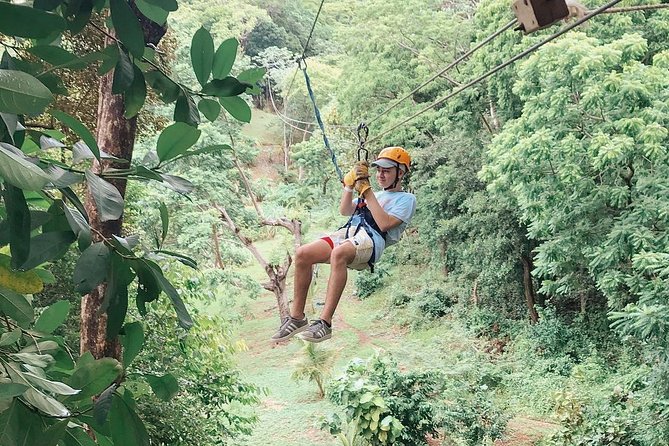 Roatan Canopy Zipline Tour - Who Will Love This Tour?
