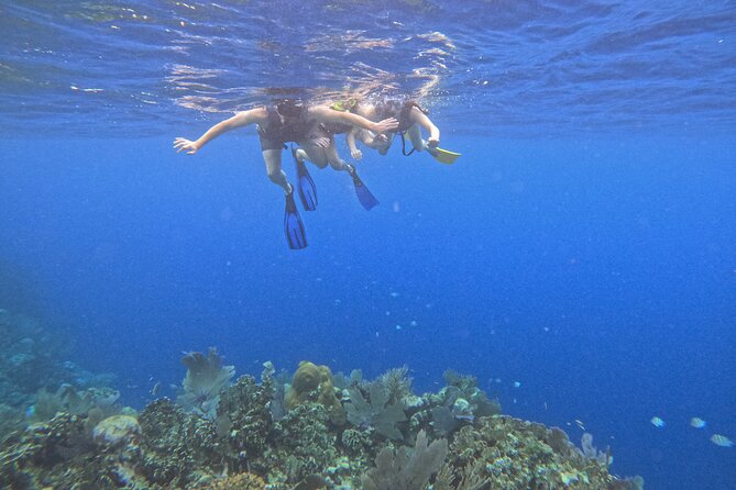 Roatan Reef Snorkel Adventure - Key Points