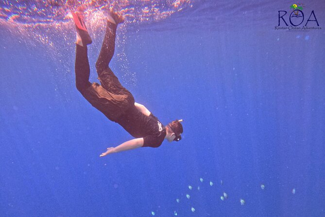 Roatan Reef Snorkel Adventure - FAQs