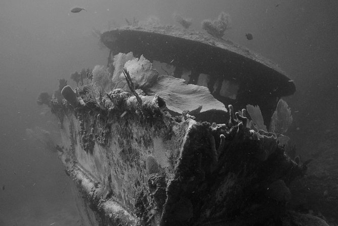 One Tank Dive - A Typical Day: What to Expect