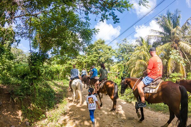Horseback Riding + West End + Choco Factory + West Bay Day Pass @ Paradise Beach - FAQ