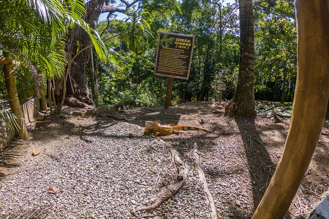 Day Pass @ Paradise Beach + Optional Gumbalimba Animal Sanctuary and/or Zip Line - Final Thoughts