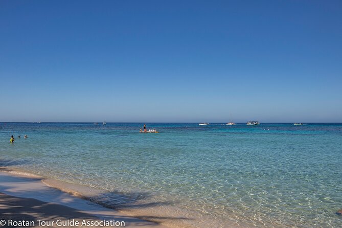 Day Pass @ Paradise Beach + Optional Gumbalimba Animal Sanctuary and/or Zip Line - Key Points