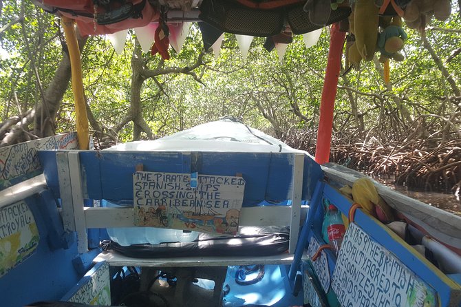 East End Tour (Mangroves, Punta Gorda, Port Royal) with Snorkeling Option - A Deep Dive into the Roatan East End Tour