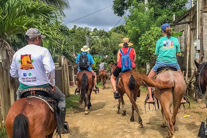 Horseback Riding Trail Tour, Roatan Letters and Ocean in Flowers Bay - The Itinerary: From Village to Ocean