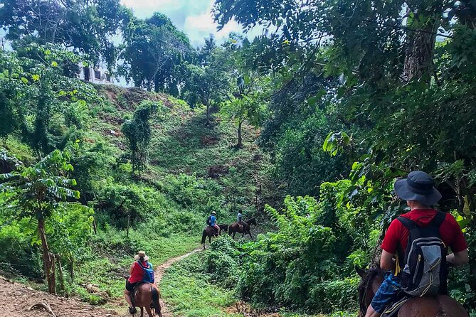 Horseback Riding Trail Tour, Roatan Letters and Ocean in Flowers Bay - Exploring Roatan’s Natural Beauty on Horseback