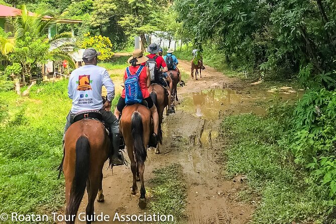 Horseback Riding Trail Tour, Roatan Letters and Ocean in Flowers Bay - Frequently Asked Questions