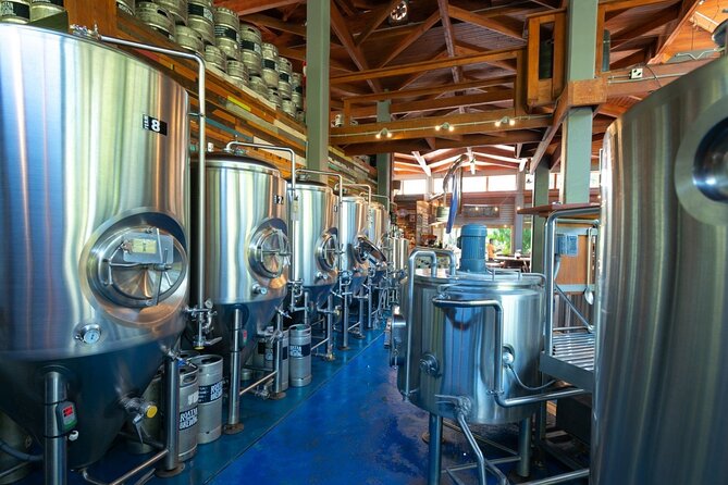 Beer and Food Tasting Experience at Roatan Island Brewing Company - Detailed Breakdown of the Itinerary