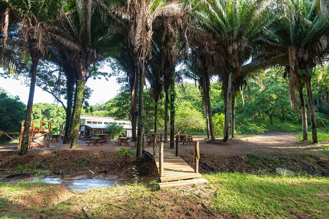 Beer and Food Tasting Experience at Roatan Island Brewing Company - Why This Tour Offers Great Value