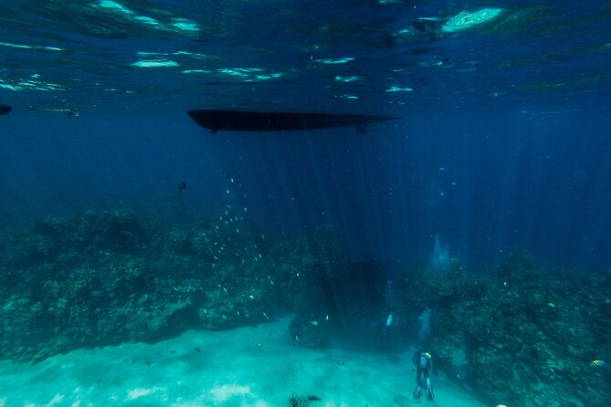 Scuba Dive in the West End of Roatan with Private Transfer - Who Is This Tour Best Suited For?