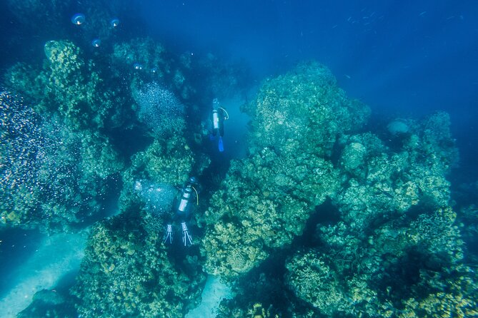 Scuba Dive in the West End of Roatan with Private Transfer - FAQ