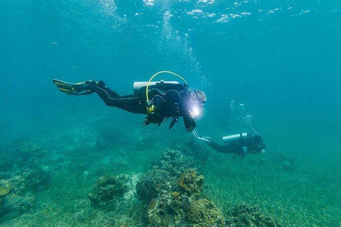 Scuba Dive in the West End of Roatan with Private Transfer - Experience the Best of Roatan’s Underwater World with a Private Transfer