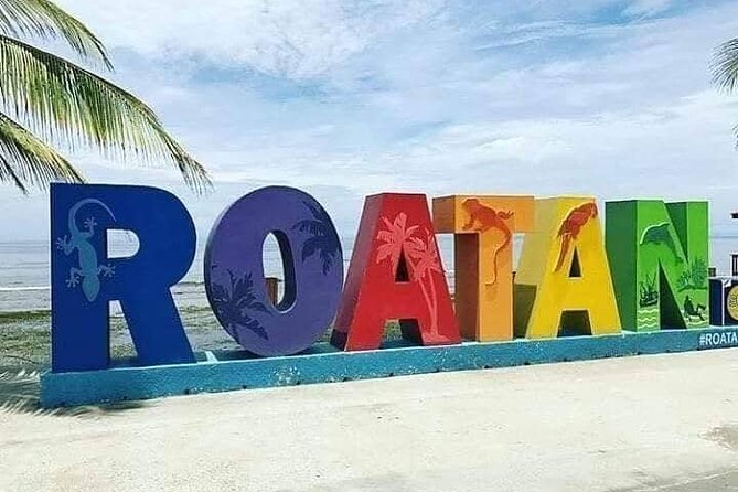 Airport transportation /Ferry to your hotel - Who Should Consider This?