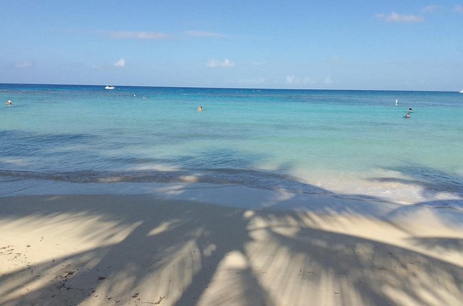 Sloths and Monkeys Roatan Island and Beach Break Private - Final Thoughts: Who Will Love This Tour?