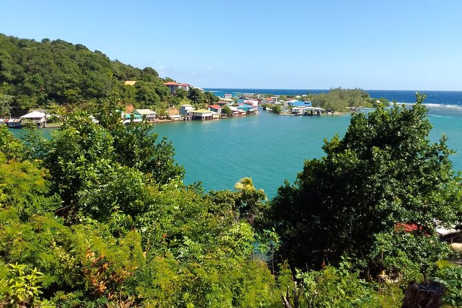 Sloths and Monkeys Roatan Island and Beach Break Private - Comprehensive Review of the Sloths and Monkeys Roatan Island and Beach Break Private Tour