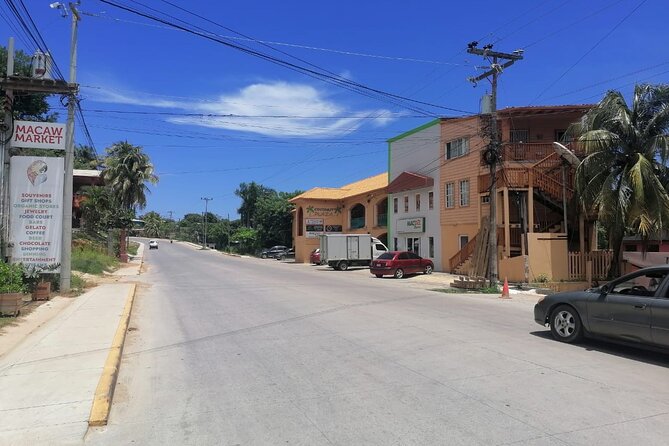 Roatan City Tour - A Deep Dive into the Roatan City Tour Experience