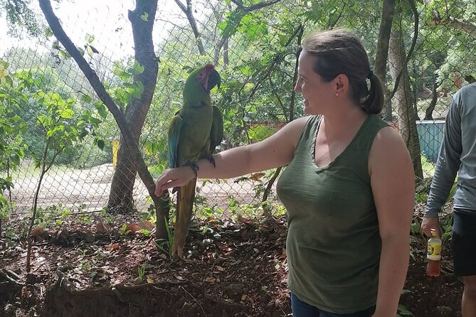 Roatan City Tour - FAQs