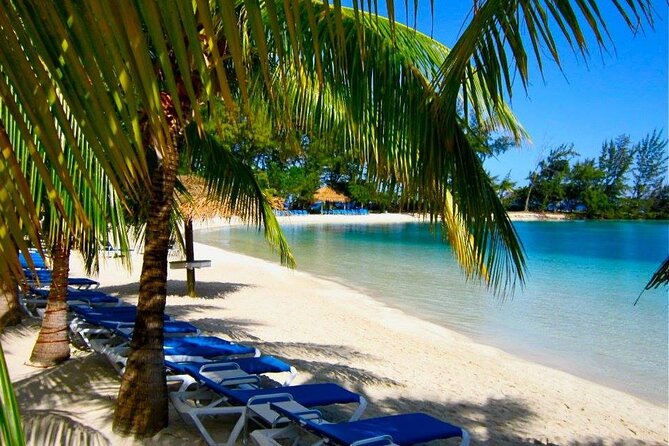 Roatan ATV Jungle Tour, Chocolate & Rum Tasting , Beach Break - The Complete Experience: A Deep Dive into Roatan’s ATV Jungle Tour and More