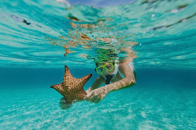 Roatán Snorkeling Tour & West Bay Beach Day Pass - Key Points