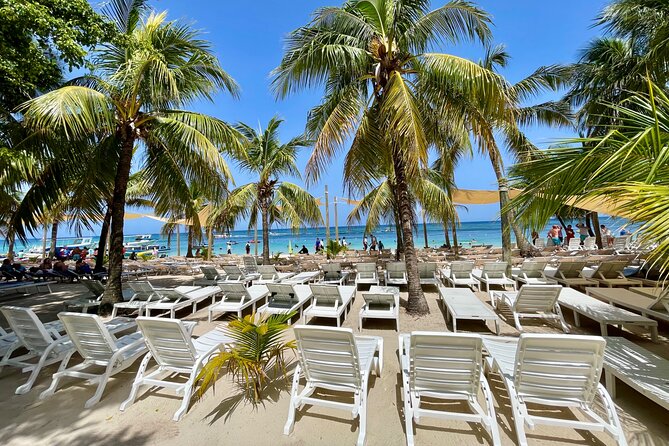 Roatán Zipline, Snorkeling, and West Bay Beach - Who Should Consider This Tour?