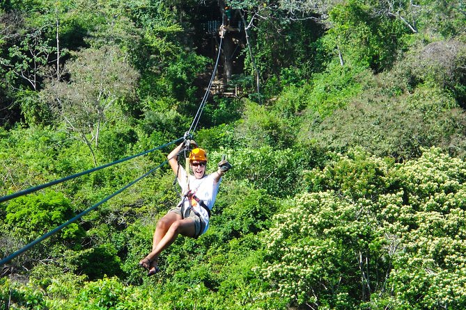 Transfers, Zip Line and Monkey Park - Key Points