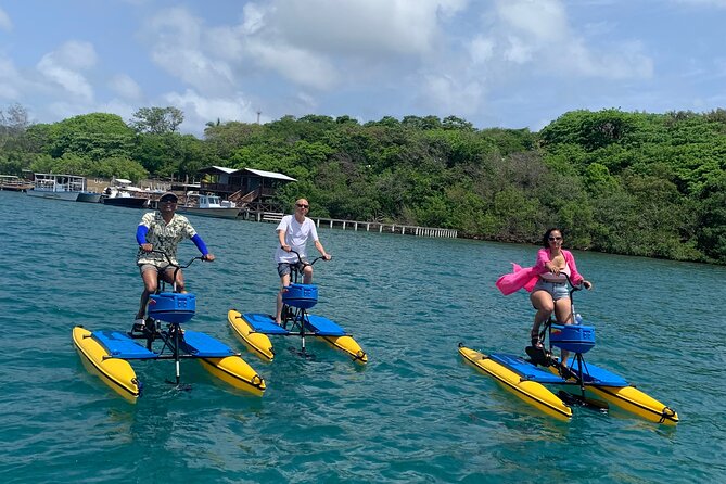 Eco Friendly Hydrobike Tour With Private Island Beach Break - A Closer Look at the Hydrobike Tour Experience