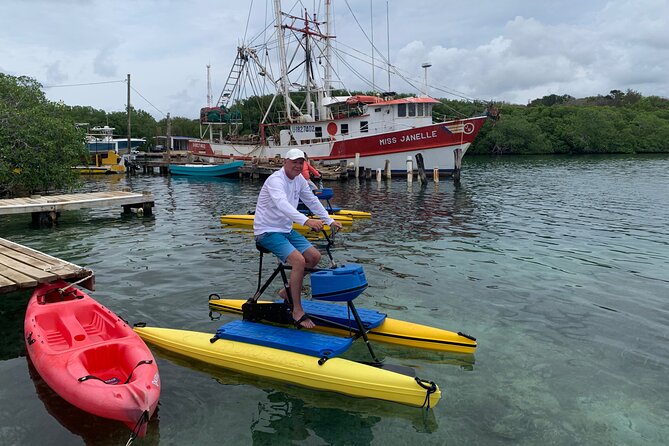 Eco Friendly Hydrobike Tour With Private Island Beach Break - Who This Tour Is Best For