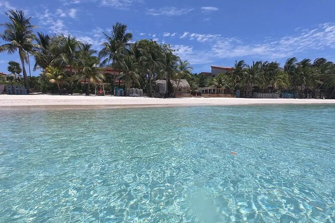 Explore the Best of Roatan with Our Fully Customizable City Tour - Who Is This Tour Best For?