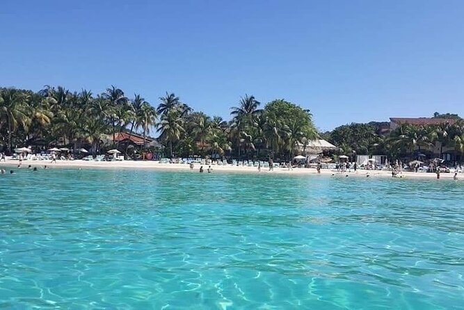 Roatan Monkey & Sloth Tour, Chocolate & Rum factory +beach break - Exploring Roatan’s Natural and Cultural Highlights