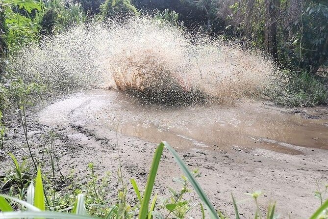 Roatan Muddy Jungle Buggy Tour Off Road Adventure - The Itinerary in Detail