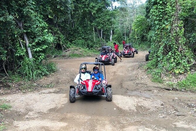 Roatan Muddy Jungle Buggy Tour Off Road Adventure - Pricing and Value