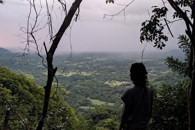 Private Tour Diria National Park Unspoken Hiking and Nature - A Deep Dive into the Experience